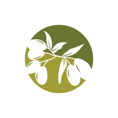 Olive Logo Design, Olive Oil Tree Vector, Simple Illustration Template