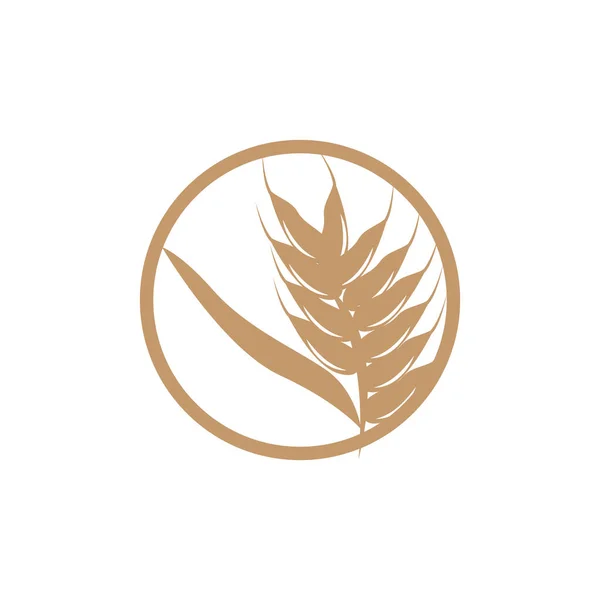 Wheat Logo Simple Farmer Garden Design Vector Template Siluet Illustration - Stok Vektor
