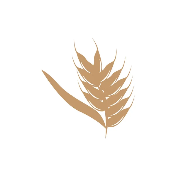 Wheat Logo Simple Farmer Garden Design Vector Template Siluet Illustration - Stok Vektor