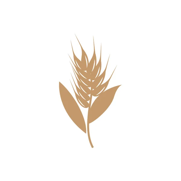 小麦标识 简易农园设计 矢量模板轮廓说明 — 图库矢量图片