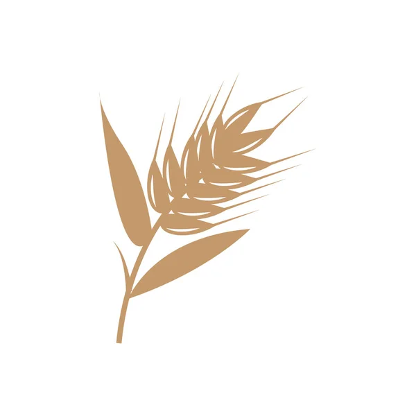 小麦标识 简易农园设计 矢量模板轮廓说明 — 图库矢量图片