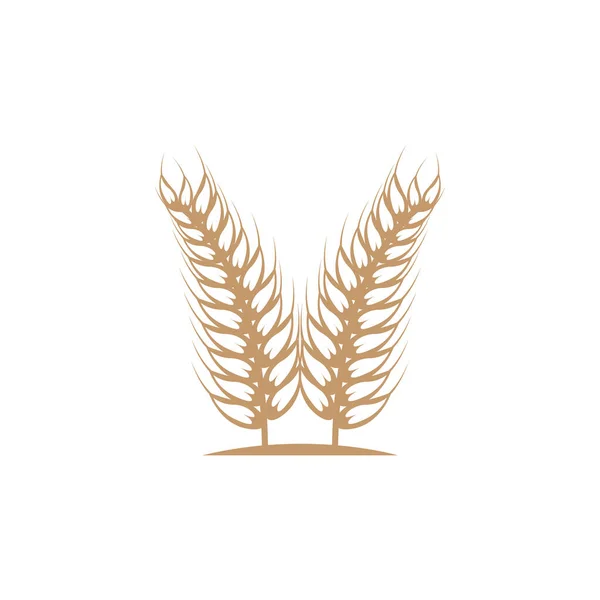 Wheat Logo Simple Farmer Garden Design Vector Template Siluet Illustration - Stok Vektor