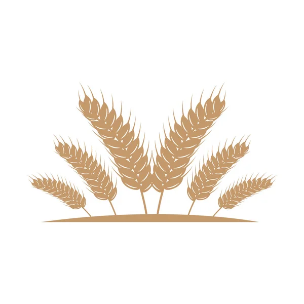 小麦ロゴ シンプルな農園デザイン ベクトルテンプレートシルエットイラスト — ストックベクタ