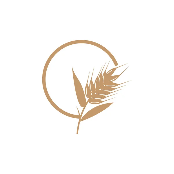 Логотип Пшениці Простий Дизайн Фермерського Саду Векторні Ілюстрації Силуетів — стоковий вектор