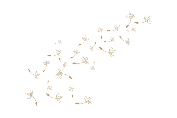 Логотип Одуванчика Цветок Одуванчика Векторного Растения Шаблон Иконы Дизайна — стоковый вектор