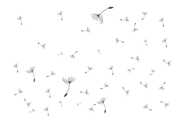 蒲公英标志 病媒植物蒲公英花 设计图标模板 — 图库矢量图片