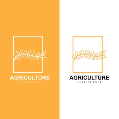 Pirinç Logosu, Çiftlik Buğdayı Logosu Tasarımı, Vektör Sembol Simgesi Grafik Resimleri