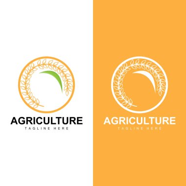 Pirinç Logosu, Çiftlik Buğdayı Logosu Tasarımı, Vektör Sembol Simgesi Grafik Resimleri