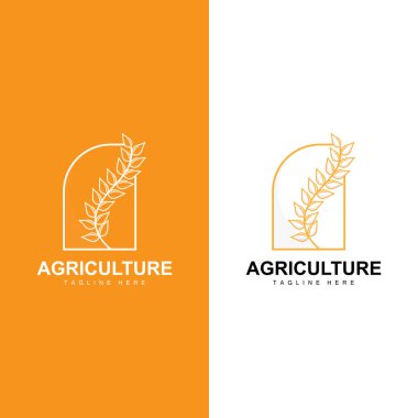Pirinç Logosu, Çiftlik Buğdayı Logosu Tasarımı, Vektör Sembol Simgesi Grafik Resimleri