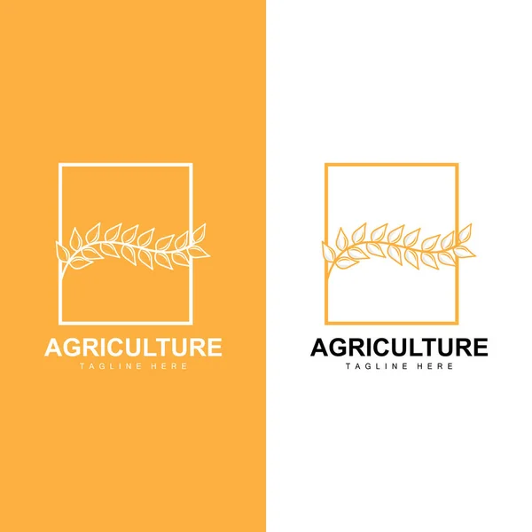 Rijst Logo Farm Wheat Logo Design Vector Symbool Pictogram Afbeelding Vectorbeelden