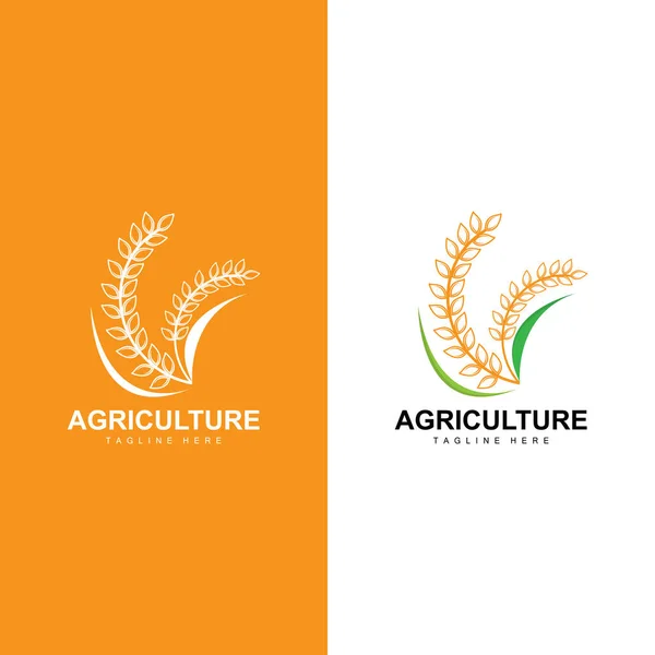 Rijst Logo Farm Wheat Logo Design Vector Symbool Pictogram Afbeelding Stockillustratie