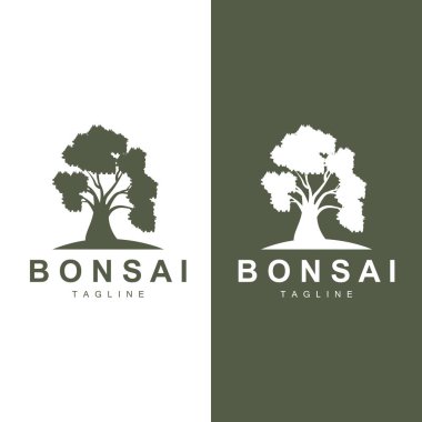 Bonsai Ağacı Logo Vektörü Sembol İllüstrasyon Tasarımı