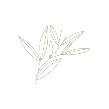 Minimalist Kadın Botanik Çiçek Hattı Logosu, Tasarım Vektörü illüstrasyonu