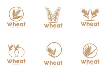 Buğday Logosu Tasarımı Basit Çizim Şablonu