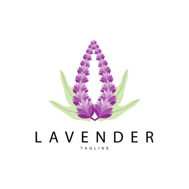 Lavanta Logosu, El Çizimi Düğün Bitkisi Tasarımı, Vektör Lavanta Bitkisi Koku Çizimi Tasarımı