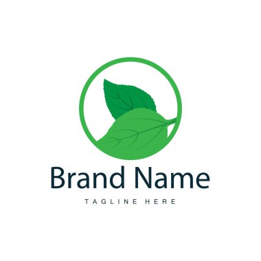 Yeşil Yaprak logo vektörü doğal bitki tasarımı ikon yaprak şablonu çizimi