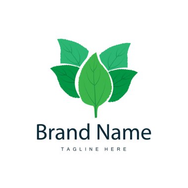 Yeşil Yaprak logo vektörü doğal bitki tasarımı ikon yaprak şablonu çizimi