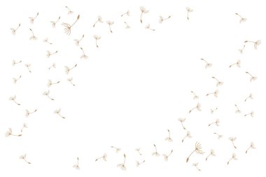 Karahindiba Logosu, Vektör Bitkisi Karahindiba Çiçeği, Tasarım Simgesi Şablonu