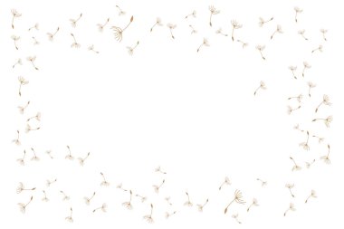 Karahindiba Logosu, Vektör Bitkisi Karahindiba Çiçeği, Tasarım Simgesi Şablonu