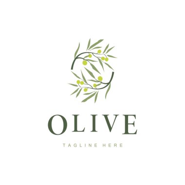 Basit zeytin logosu tasarımı. Zeytin tohumu. Güzelliğin ve kaplıca işinin sembolü.