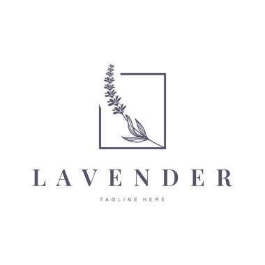 Güzel ve basit minimalist lavanta çiçeği bitkilerinin yer aldığı lavanta logosu.