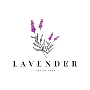 Güzel ve basit minimalist lavanta çiçeği bitkilerinin yer aldığı lavanta logosu.