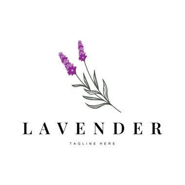 Güzel ve basit minimalist lavanta çiçeği bitkilerinin yer aldığı lavanta logosu.