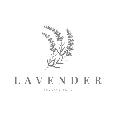 Güzel ve basit minimalist lavanta çiçeği bitkilerinin yer aldığı lavanta logosu.