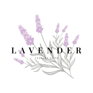 Güzel ve basit minimalist lavanta çiçeği bitkilerinin yer aldığı lavanta logosu.