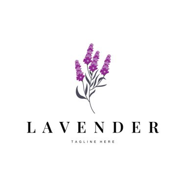 Güzel ve basit minimalist lavanta çiçeği bitkilerinin yer aldığı lavanta logosu.