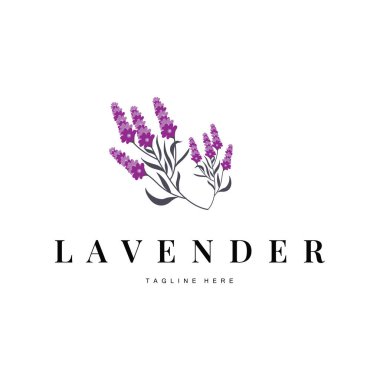 Güzel ve basit minimalist lavanta çiçeği bitkilerinin yer aldığı lavanta logosu.