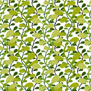 Çiçeksiz yaprak desenleri ambalaj kağıtları, kumaşlar, moda tekstil ürünleri, çocuk giysileri, mutfak aksesuarları ve çarşafları için. Yüksek kaliteli illüstrasyon