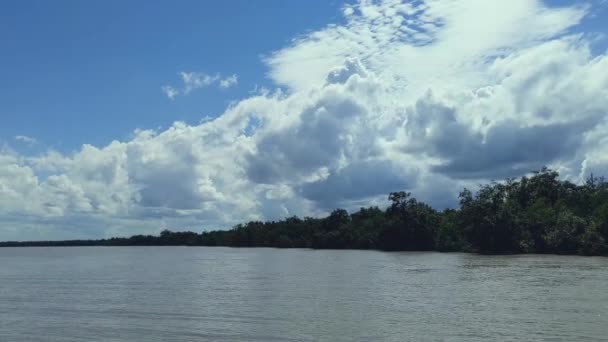 川に近い白い雲 川の波 森の端からの美しい曇りの空と太陽の光のパニング — ストック動画