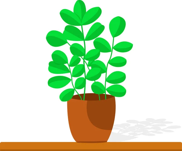 Vecteur Plante Verte Avec Des Branches Des Feuilles Pot Floraison — Image vectorielle