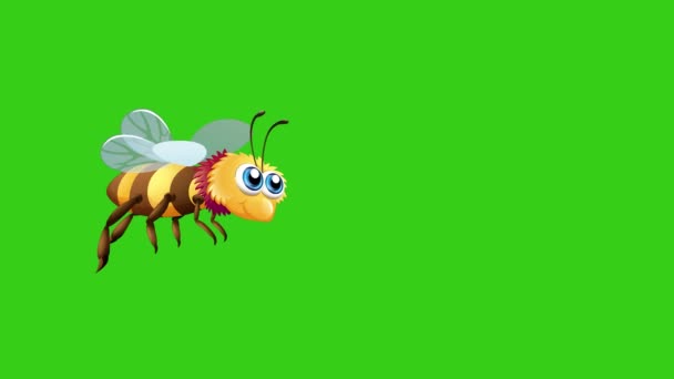 在绿色屏幕背景下的飞蜂动画 蜜蜂在绿色屏幕上飞舞 野生动物昆虫卡通动画的特写视频 — 图库视频影像