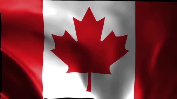 Animation Drapeau Canada Drapeau National Drapeau Officiel Canadien Flottant Dans — Video
