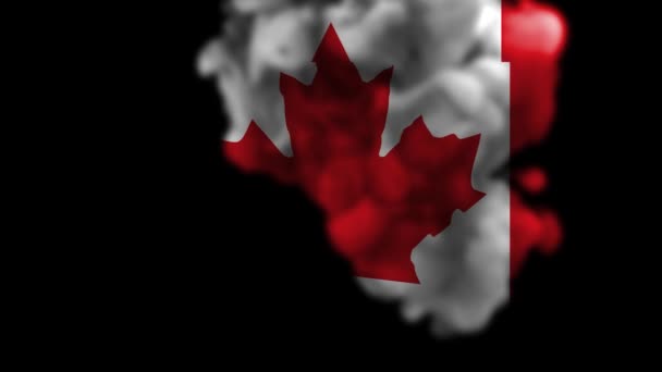 Animace Odhalení Vlajky Kanady Národní Vlajky Kanady Kanadská Oficiální Vlajka — Stock video
