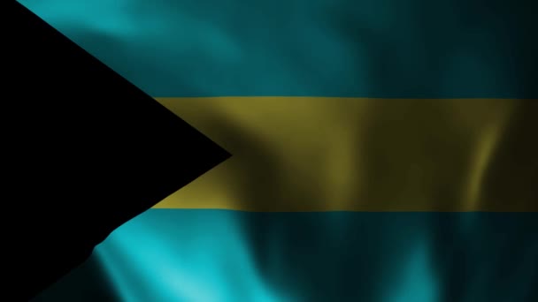 Animation För Att Vifta Med Bahamas Flagga Den Nationella Flaggan — Stockvideo