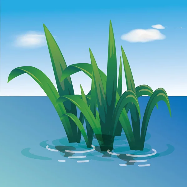 Vektor Vodních Rostlin Rostoucích Vodě Rybníka Ilustrace Jezera Zelenou Trávou — Stockový vektor