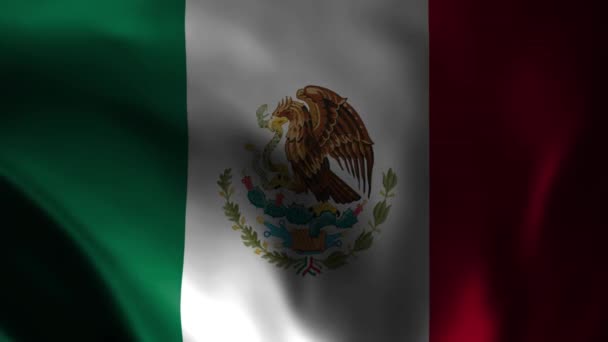 挥动着墨西哥国旗的动画 在风中飘扬的墨西哥官方国旗被隔离了 现实地挥动墨西哥国旗 — 图库视频影像