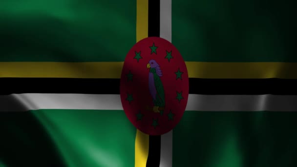 Animace Vlnění Vlajky Dominiky Národní Vlajky Dominikánská Oficiální Vlajka Vlála — Stock video