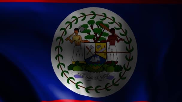 Animation Des Schwenkens Einer Flagge Belizes Der Nationalflagge Die Offizielle — Stockvideo