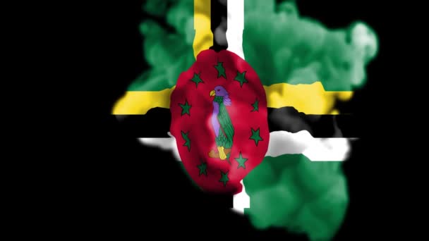 Дымовая Анимация Раскрытия Флага Доминики Национального Флага Доминики Обнародована Жидкая — стоковое видео