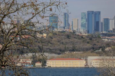 Şehir parkının arkasında modern gökyüzü çizgisi