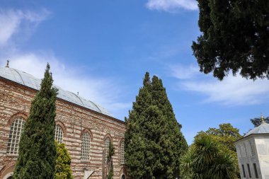 17-04-2024 İstanbul-Türkiye: Kıbrıs Rum Kesimi Ağaçları ve Topkapı Sarayı 'ndaki Tarihi Saray Duvarları ile Osmanlı Avlusu