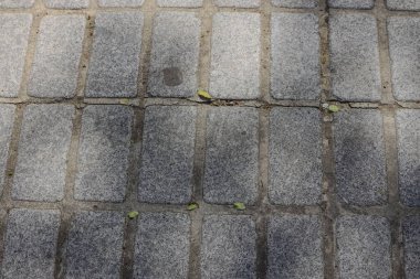 Doğal ışık ve düşen yapraklarla granit taş kaldırım dokusu