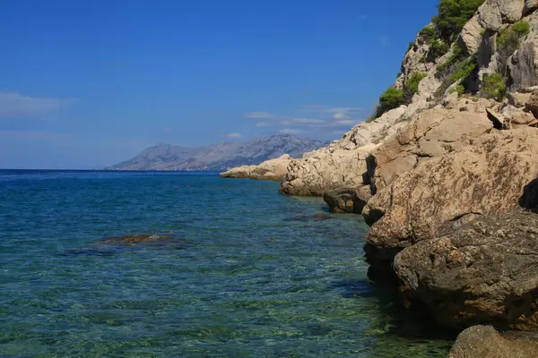 Dzika Przyroda Skalista Plaża Brzeg Skalista Plaża Chorwacji — Zdjęcie stockowe