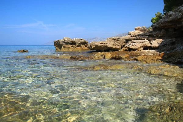 Wilde Natuur Rotsachtig Strand Rotsachtig Strand Kroatië — Stockfoto