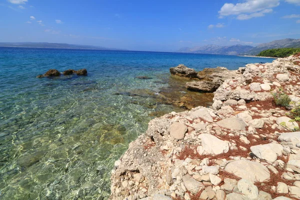 stock image Wild nature rocky beach shore rocky beach in Croatia