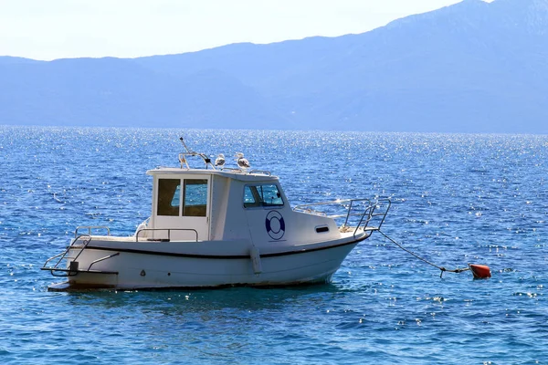 Boat Water Motor Fishing Boats Croatia Rest Boat — Stock Photo, Image